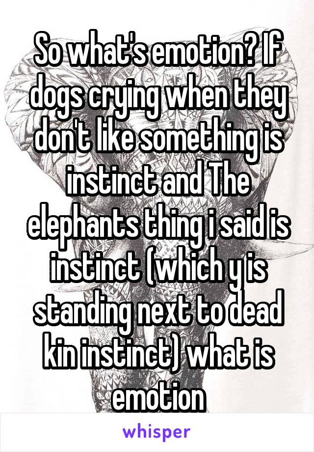 So what's emotion? If dogs crying when they don't like something is instinct and The elephants thing i said is instinct (which y is standing next to dead kin instinct) what is emotion