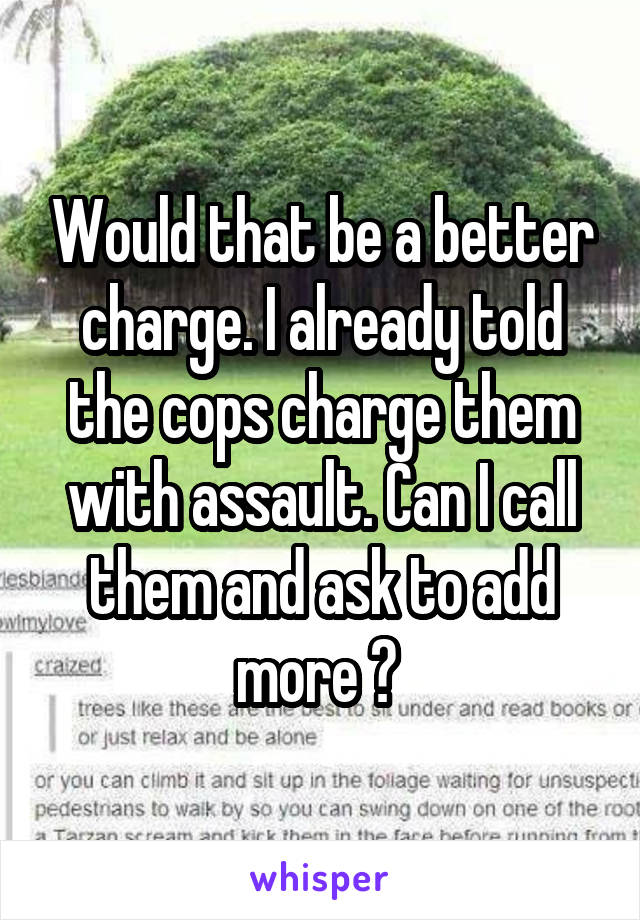 Would that be a better charge. I already told the cops charge them with assault. Can I call them and ask to add more ? 