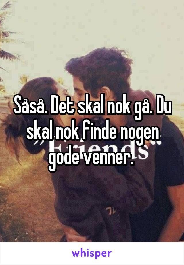 Såså. Det skal nok gå. Du skal nok finde nogen gode venner. 