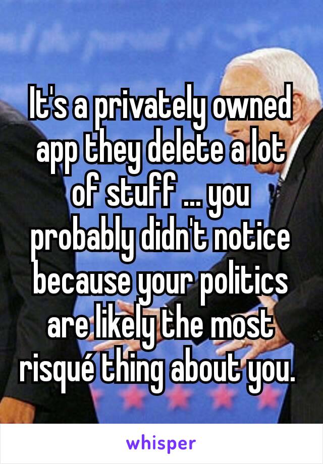 It's a privately owned app they delete a lot of stuff ... you probably didn't notice because your politics are likely the most risqué thing about you. 