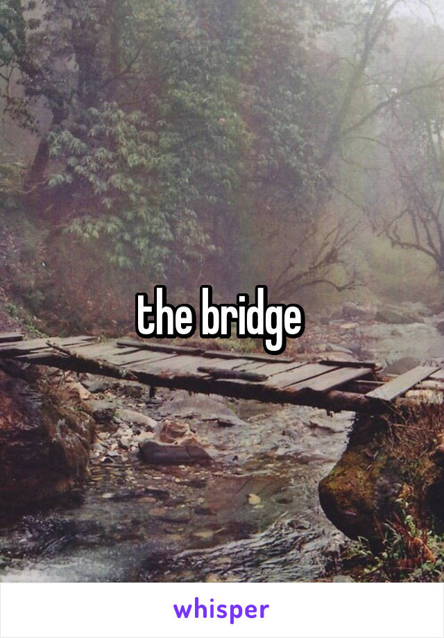the bridge 