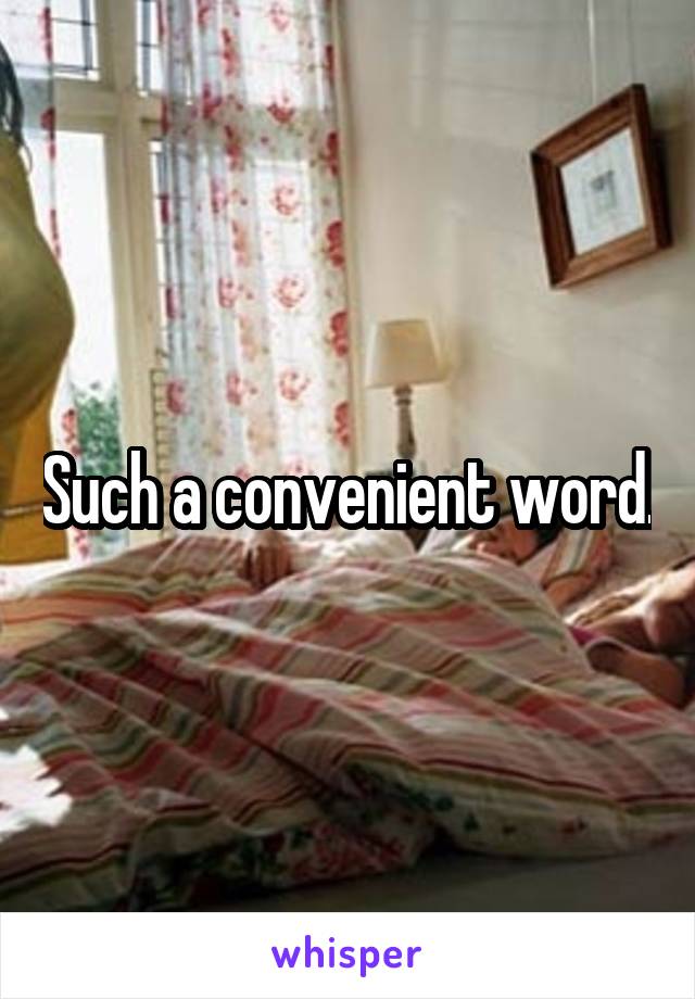 Such a convenient word.