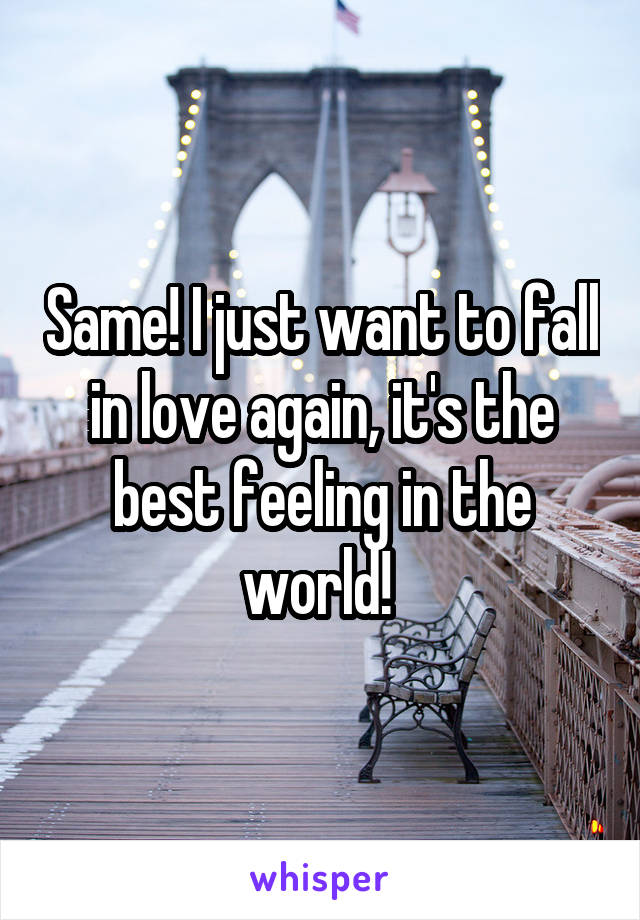 Same! I just want to fall in love again, it's the best feeling in the world! 