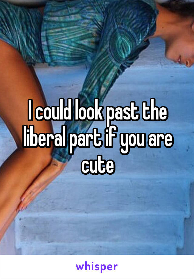 I could look past the liberal part if you are cute