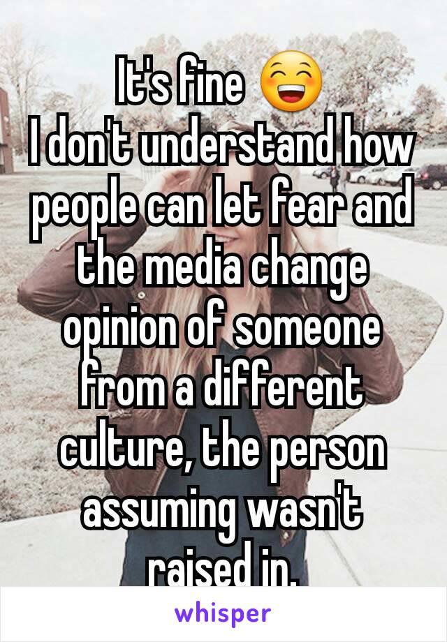 It's fine 😁
I don't understand how people can let fear and the media change opinion of someone from a different culture, the person assuming wasn't raised in.