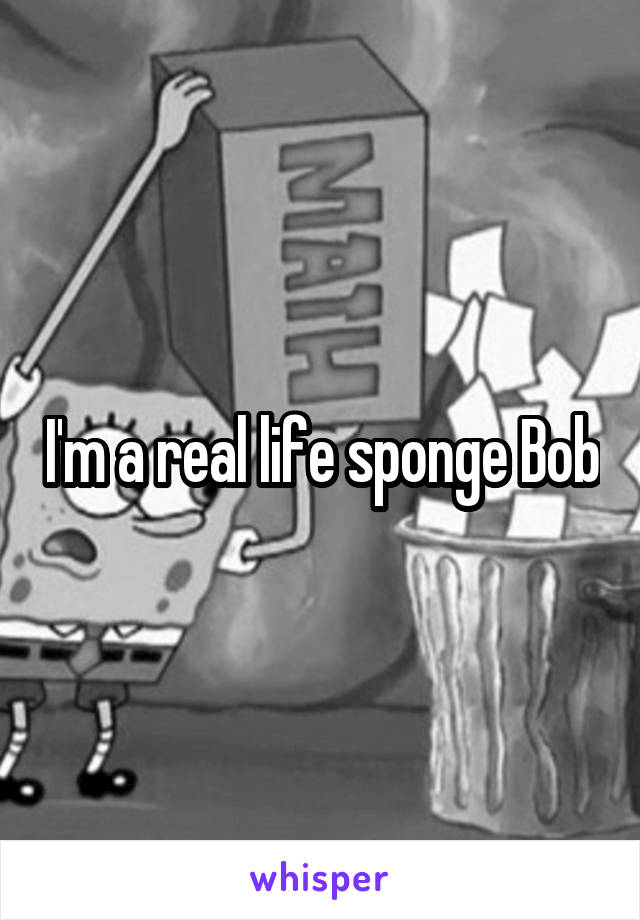 I'm a real life sponge Bob