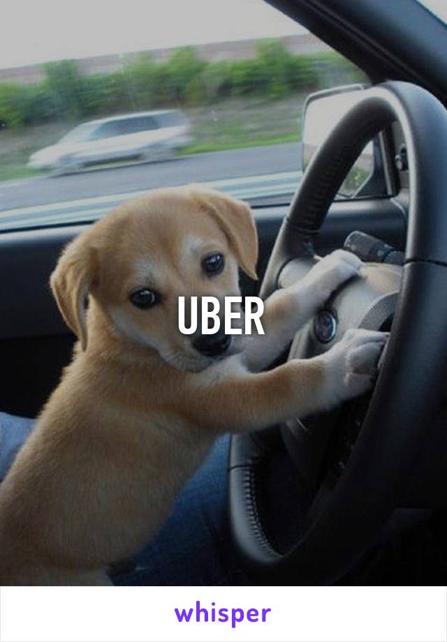 UBER