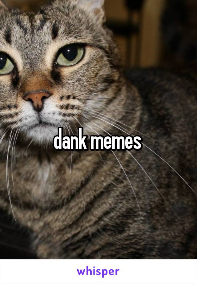 dank memes 