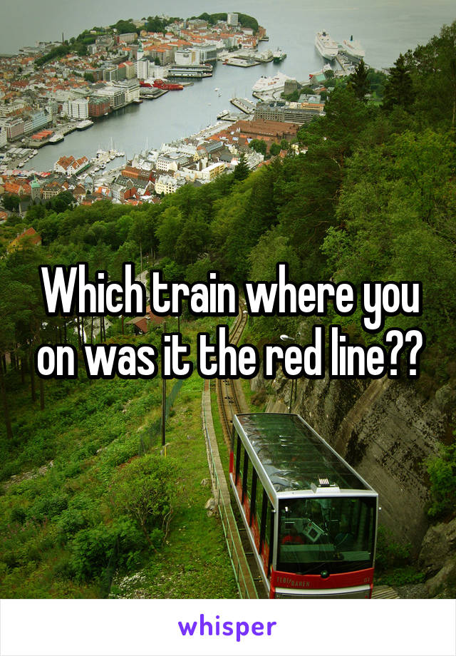 Which train where you on was it the red line??