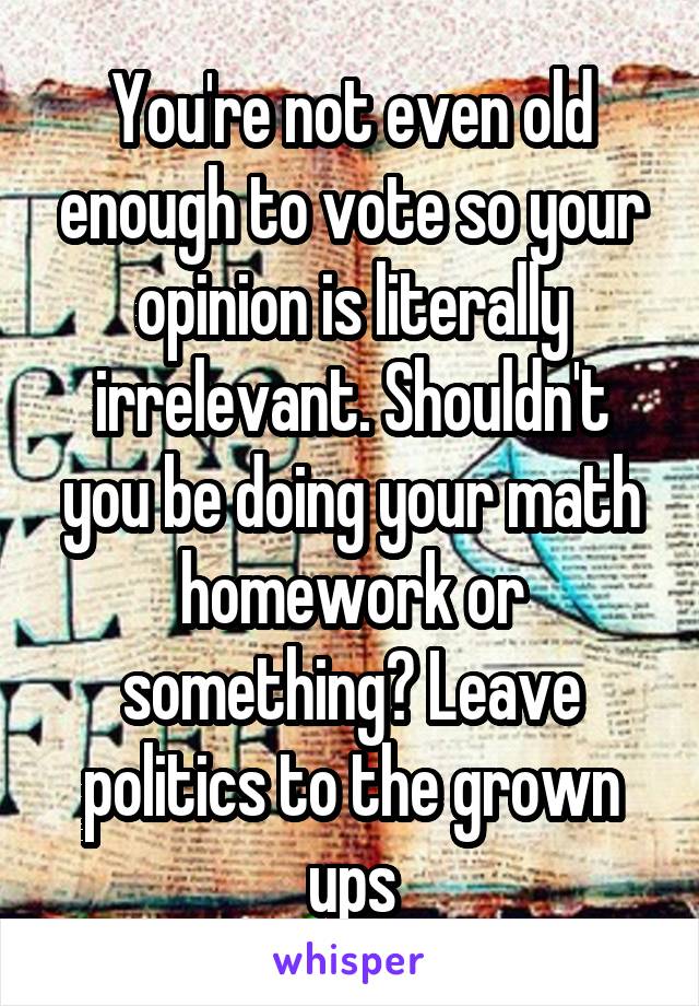 You're not even old enough to vote so your opinion is literally irrelevant. Shouldn't you be doing your math homework or something? Leave politics to the grown ups