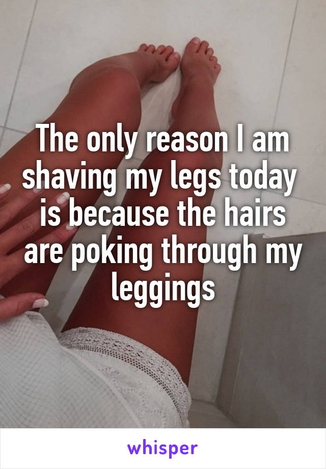 The only reason I am shaving my legs today  is because the hairs are poking through my leggings
