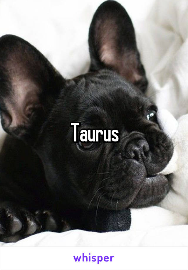 Taurus