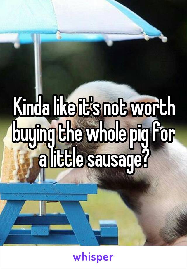 Kinda like it's not worth buying the whole pig for a little sausage?