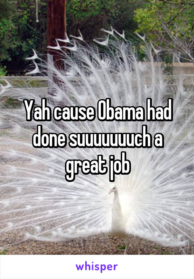 Yah cause Obama had done suuuuuuuch a great job