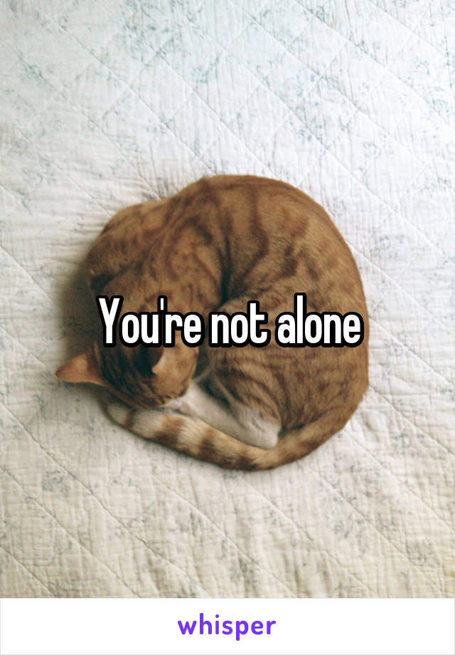 You're not alone