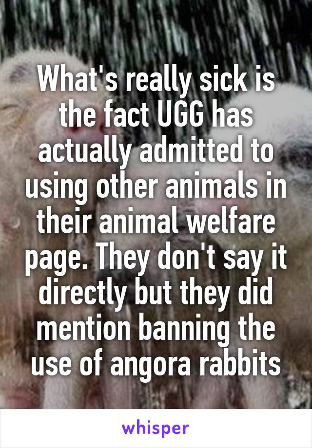 What's really sick is the fact UGG has actually admitted to using other animals in their animal welfare page. They don't say it directly but they did mention banning the use of angora rabbits