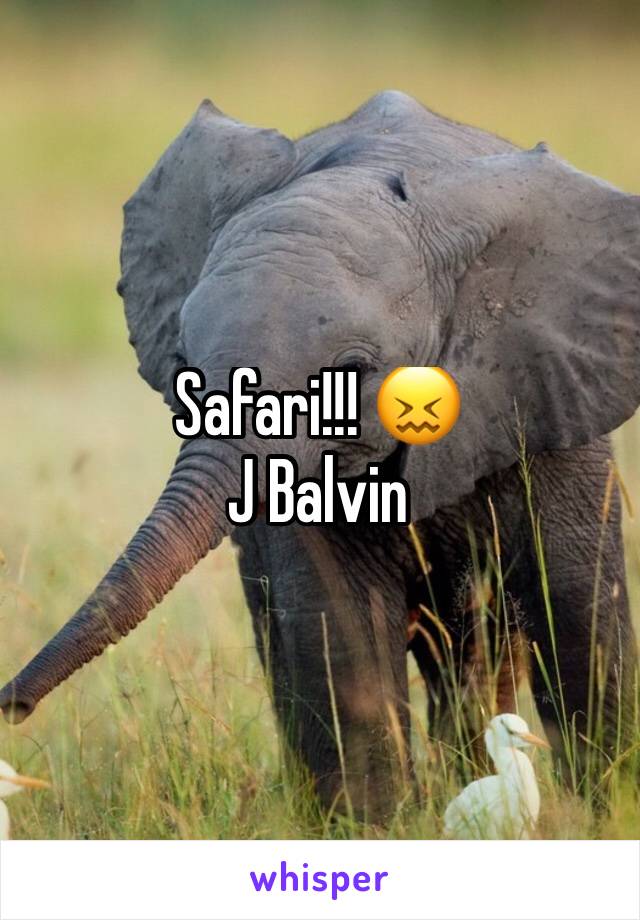 Safari!!! 😖
J Balvin 