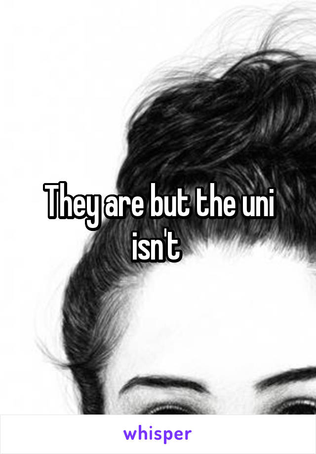 They are but the uni isn't 