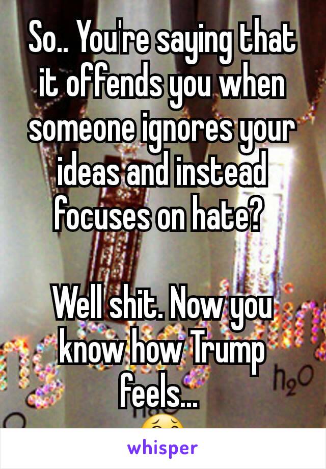 So.. You're saying that it offends you when someone ignores your ideas and instead focuses on hate? 

Well shit. Now you know how Trump feels... 
😂