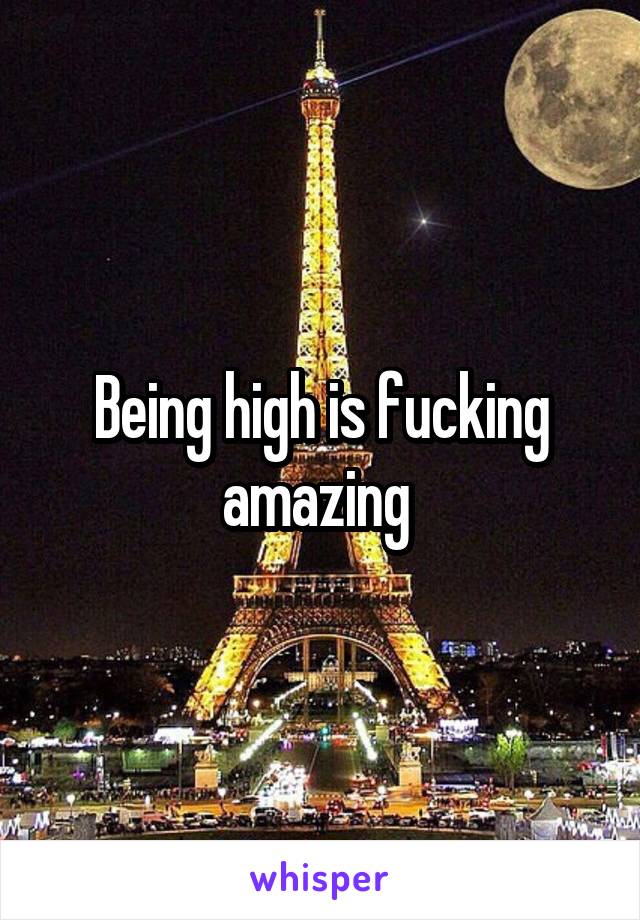 Being high is fucking amazing 