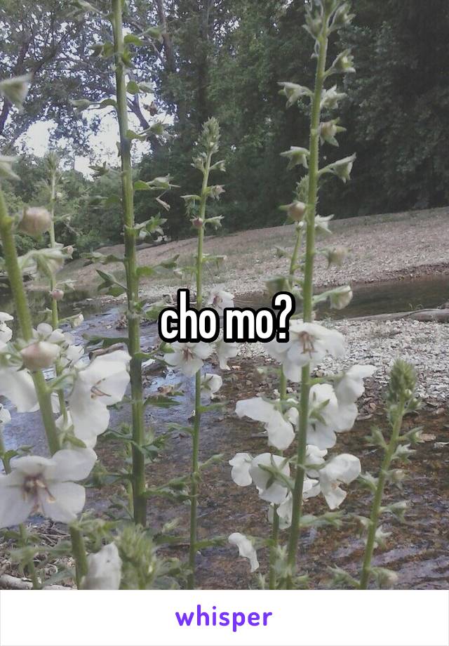 cho mo?