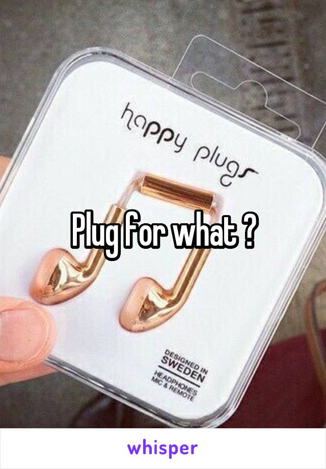 Plug for what ?