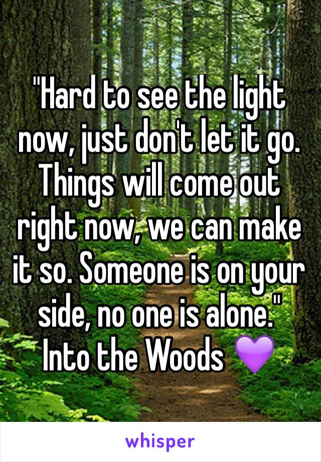 "Hard to see the light now, just don't let it go. Things will come out right now, we can make it so. Someone is on your side, no one is alone."  Into the Woods 💜