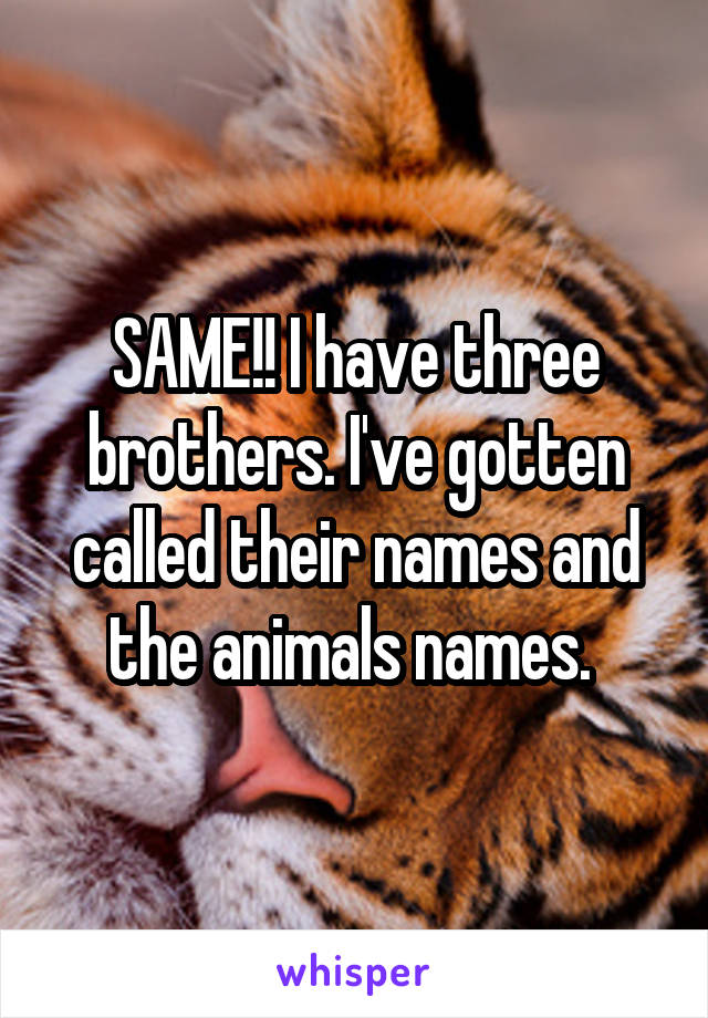 SAME!! I have three brothers. I've gotten called their names and the animals names. 