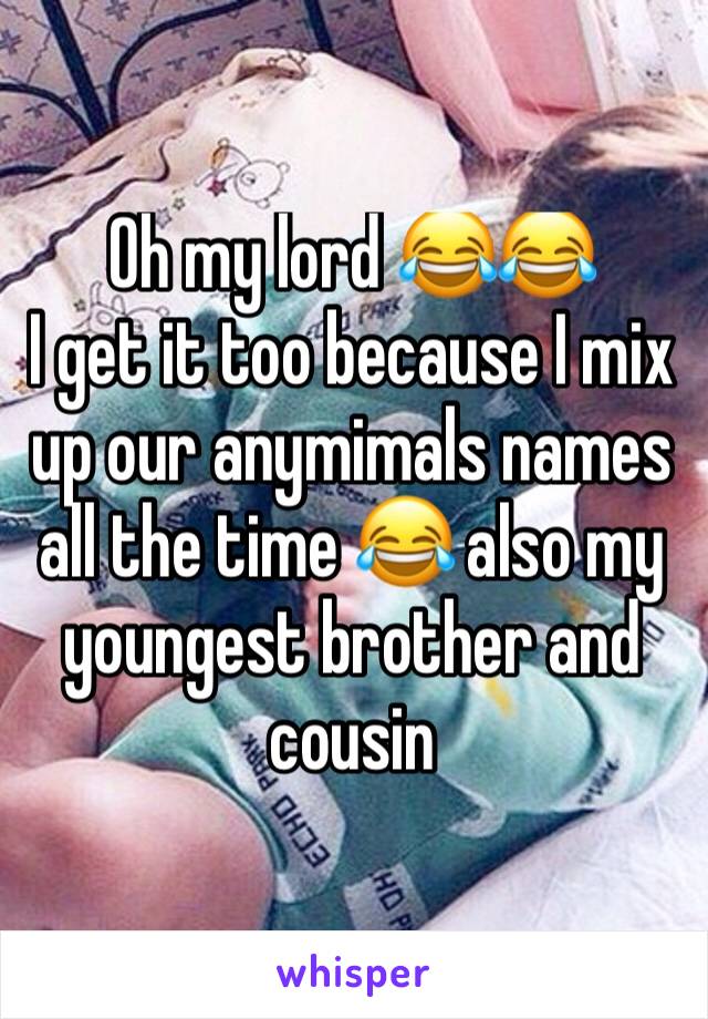 Oh my lord 😂😂
I get it too because I mix up our anymimals names all the time 😂 also my youngest brother and cousin