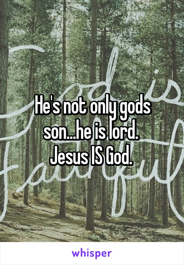 He's not only gods son...he is lord. 
Jesus IS God. 