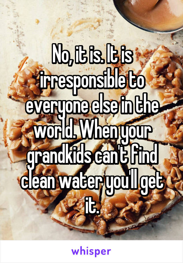 No, it is. It is irresponsible to everyone else in the world. When your grandkids can't find clean water you'll get it.