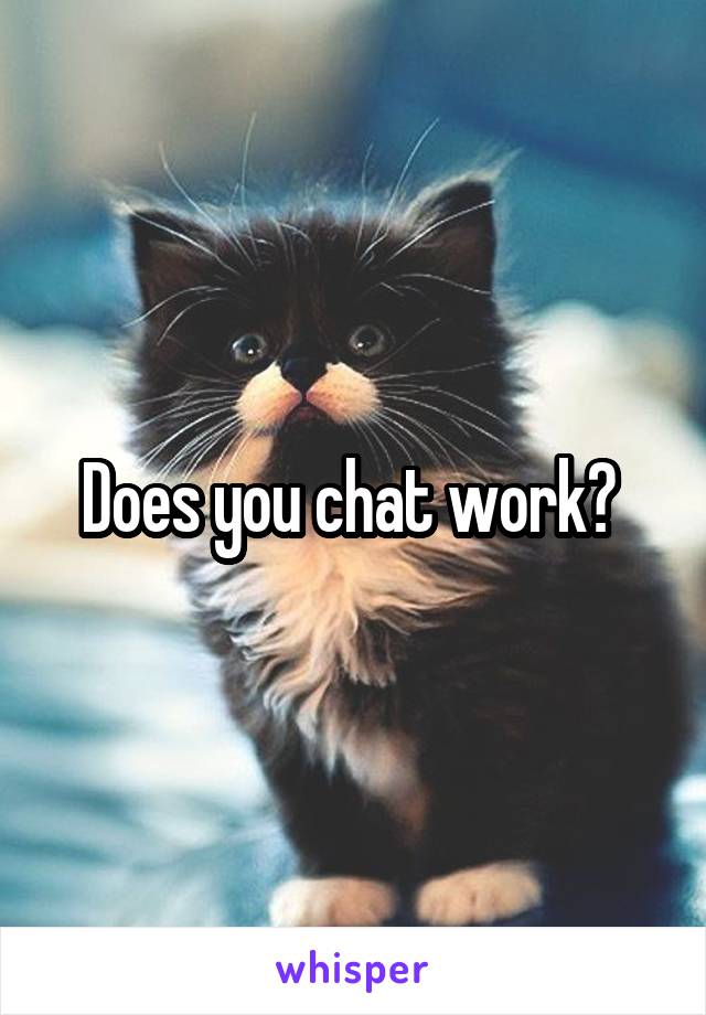 Does you chat work? 