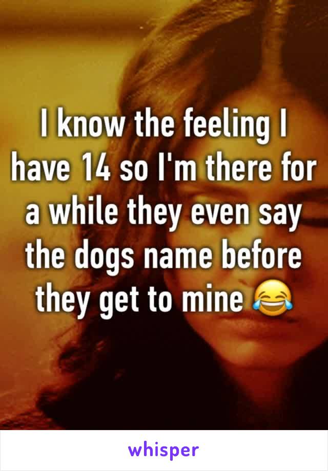 I know the feeling I have 14 so I'm there for a while they even say the dogs name before they get to mine 😂