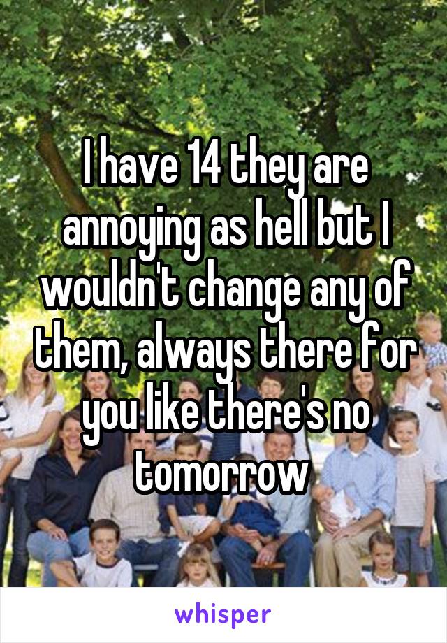 I have 14 they are annoying as hell but I wouldn't change any of them, always there for you like there's no tomorrow 