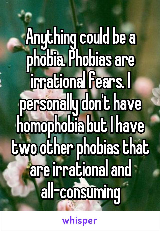 Anything could be a phobia. Phobias are irrational fears. I personally don't have homophobia but I have two other phobias that are irrational and all-consuming