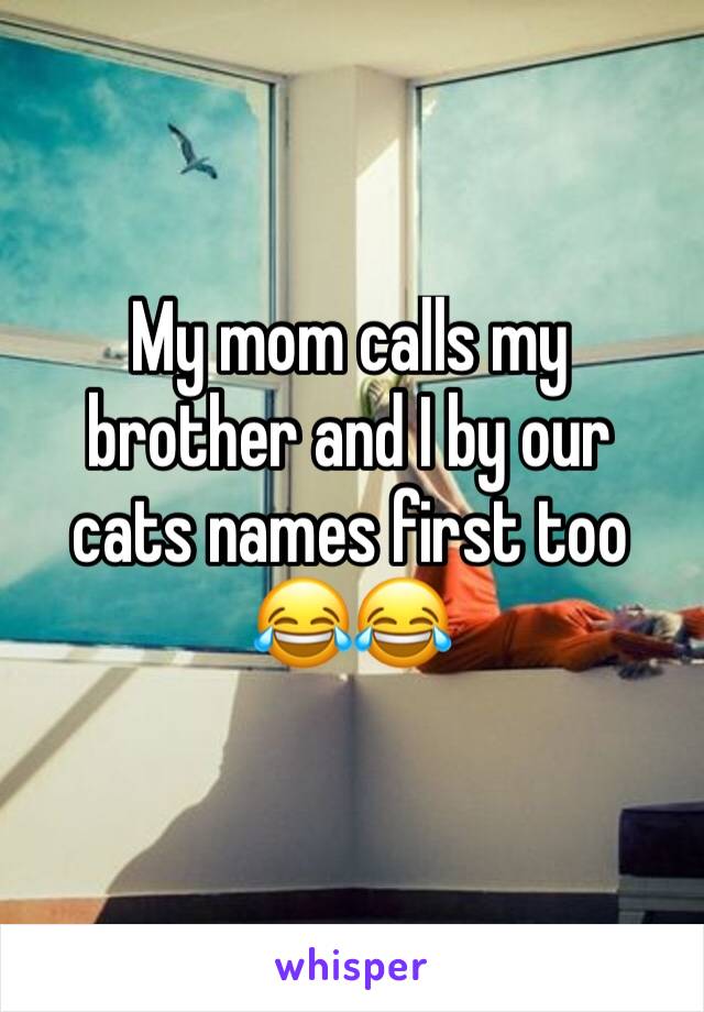 My mom calls my brother and I by our cats names first too 😂😂