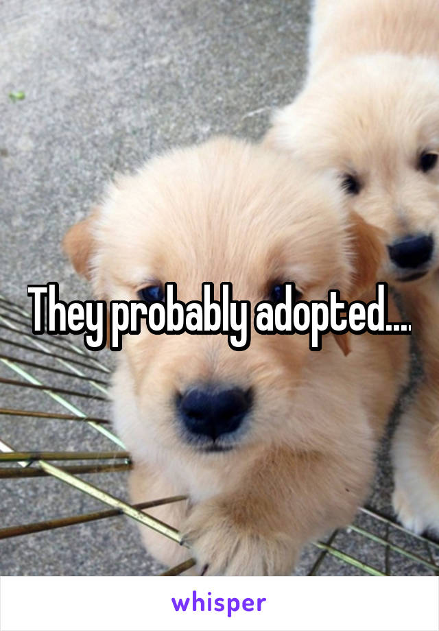 They probably adopted....