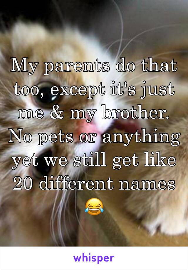 My parents do that too, except it's just me & my brother. No pets or anything yet we still get like 20 different names 😂