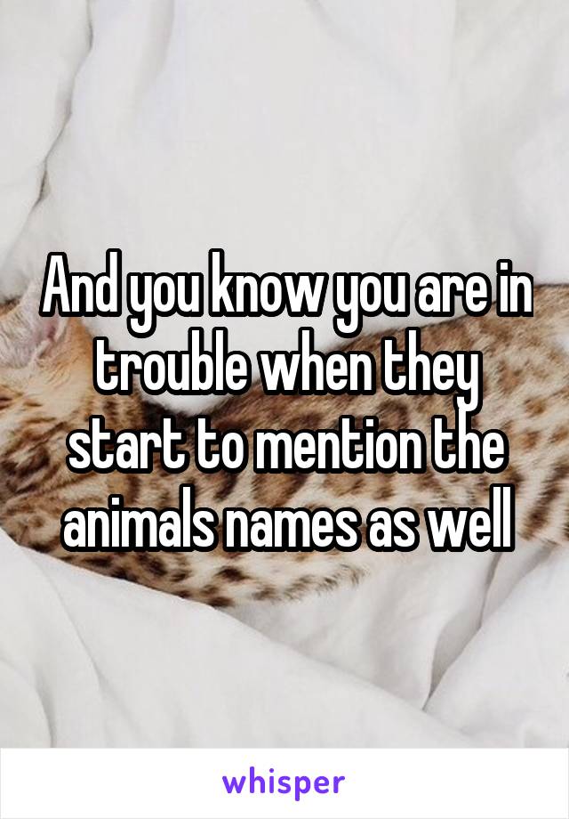 And you know you are in trouble when they start to mention the animals names as well