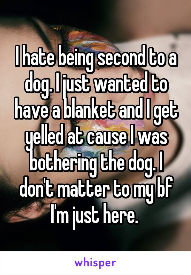 I hate being second to a dog. I just wanted to have a blanket and I get yelled at cause I was bothering the dog. I don't matter to my bf I'm just here. 