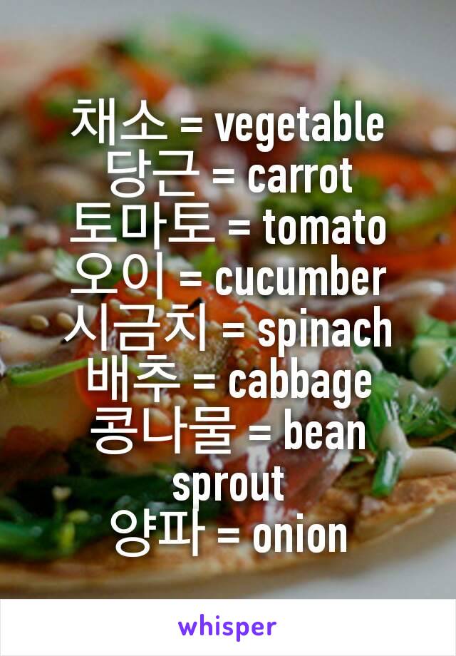 채소 = vegetable
당근 = carrot
토마토 = tomato
오이 = cucumber
시금치 = spinach
배추 = cabbage
콩나물 = bean sprout
양파 = onion