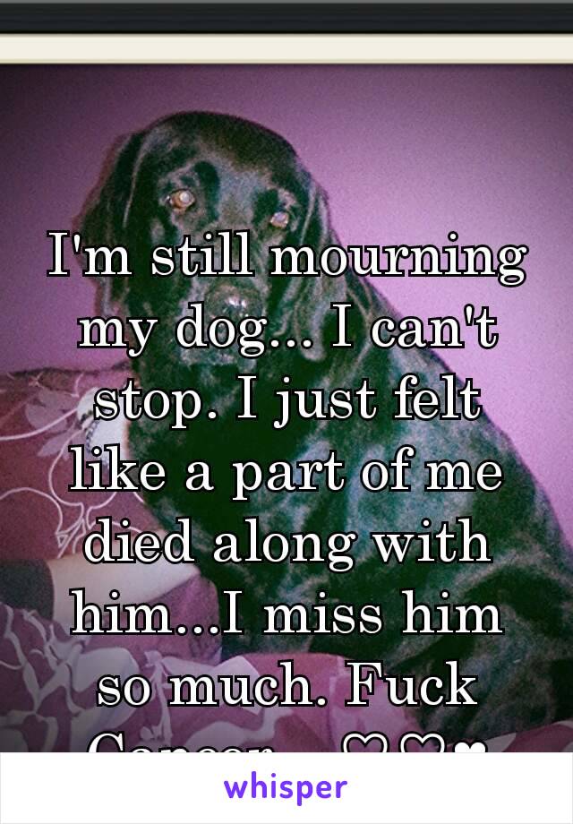 I'm still mourning my dog... I can't stop. I just felt like a part of me died along with him...I miss him so much. Fuck Cancer ...♡♡♥