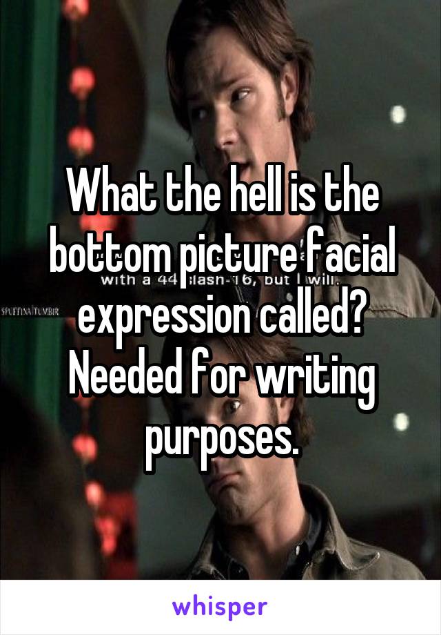 What the hell is the bottom picture facial expression called? Needed for writing purposes.