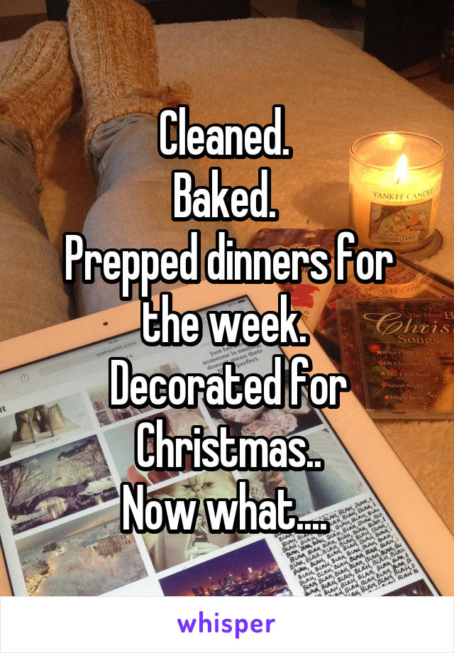 Cleaned. 
Baked. 
Prepped dinners for the week. 
Decorated for Christmas..
Now what.... 
