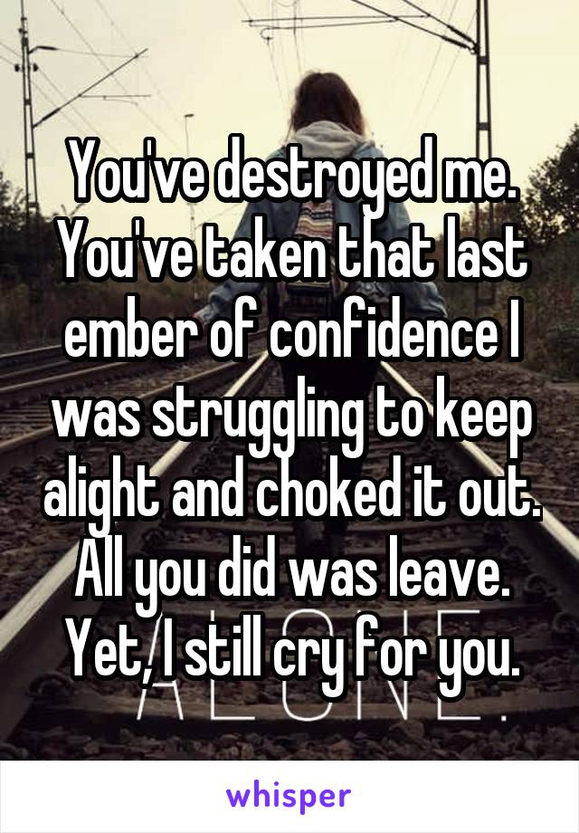 You've destroyed me. You've taken that last ember of confidence I was struggling to keep alight and choked it out. All you did was leave. Yet, I still cry for you.