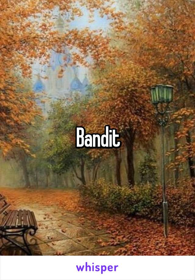 Bandit