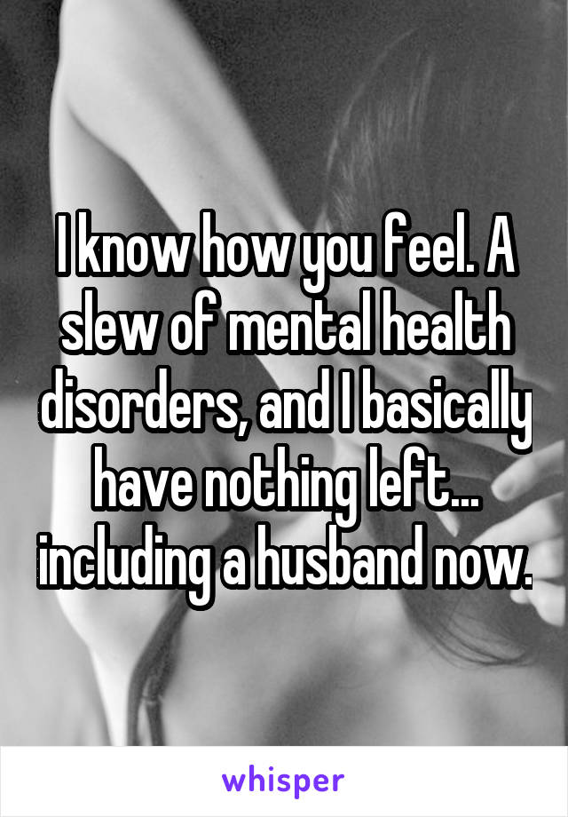I know how you feel. A slew of mental health disorders, and I basically have nothing left... including a husband now.