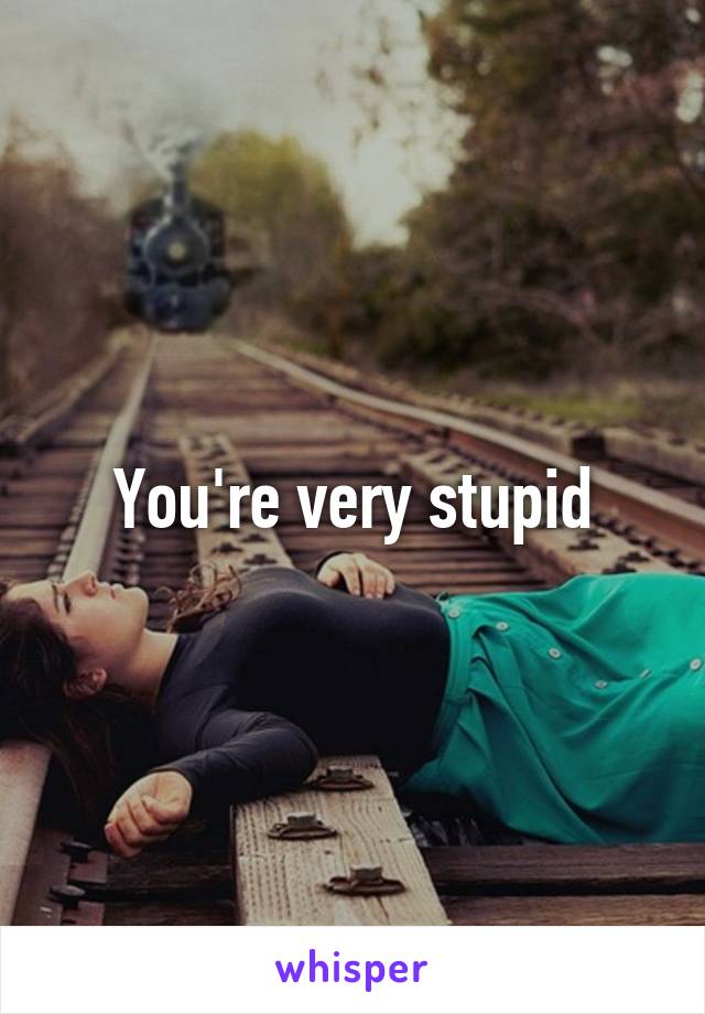 You're very stupid