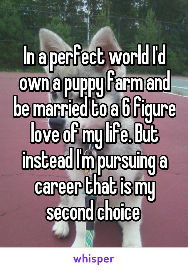 In a perfect world I'd own a puppy farm and be married to a 6 figure love of my life. But instead I'm pursuing a career that is my second choice 