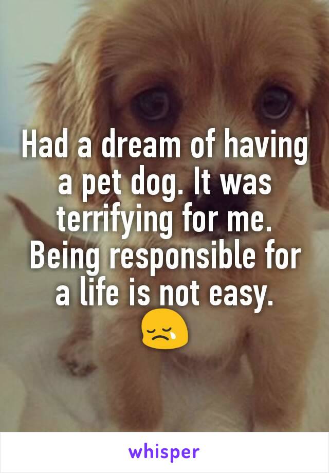 Had a dream of having a pet dog. It was terrifying for me. Being responsible for a life is not easy.
😢